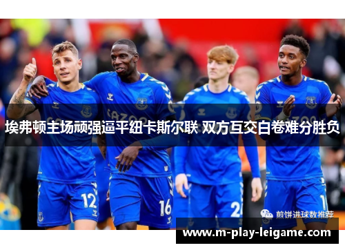 埃弗顿主场顽强逼平纽卡斯尔联 双方互交白卷难分胜负