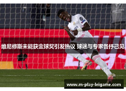维尼修斯未能获金球奖引发热议 球迷与专家各抒己见