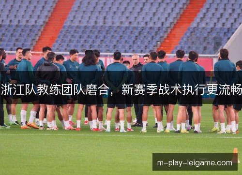浙江队教练团队磨合，新赛季战术执行更流畅